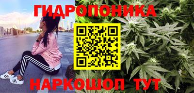 кокс Кингисепп