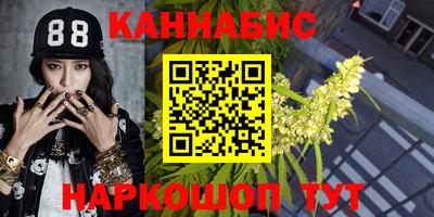 кокс Кингисепп