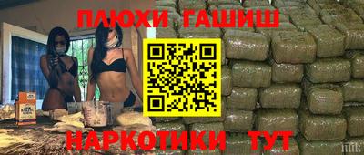 кокс Кингисепп