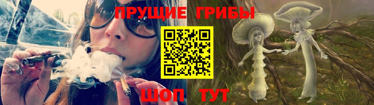 Псилоцибиновые грибы прущие грибы  Вход с VPN  Краснокаменск  Галлюциногенные грибы GOLDEN TEACHER 
